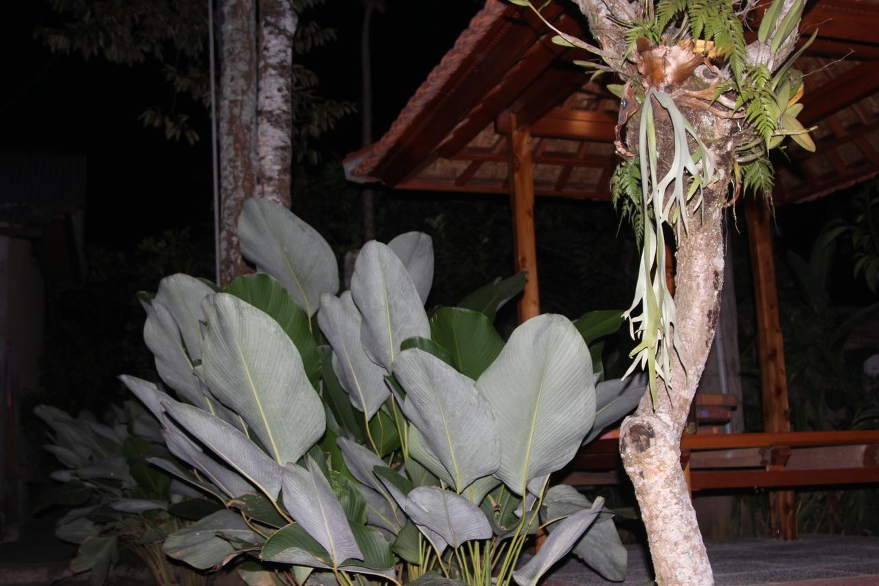 Jerogadung House Hotell Ubud Exteriör bild